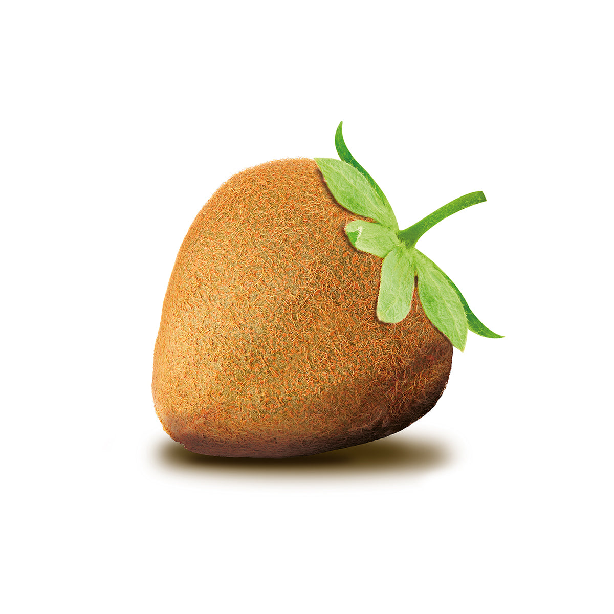 the-newest-online-retailer-of-kiwbeere-online-now_0.jpg