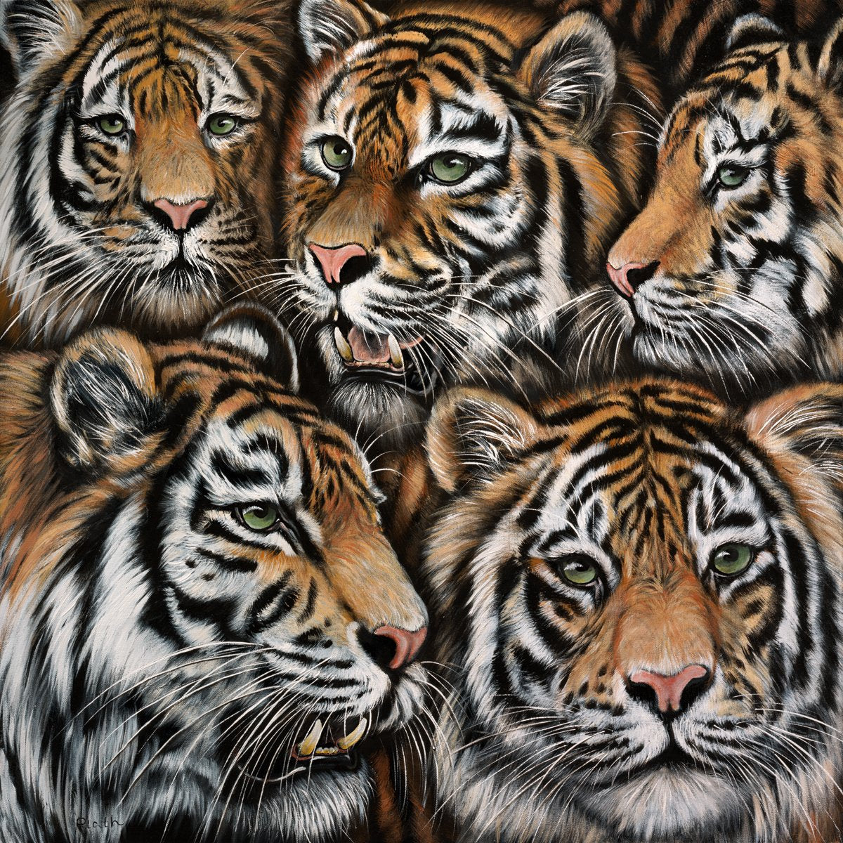 sell-and-buy-tigermix-online-hot-sale_0.jpg