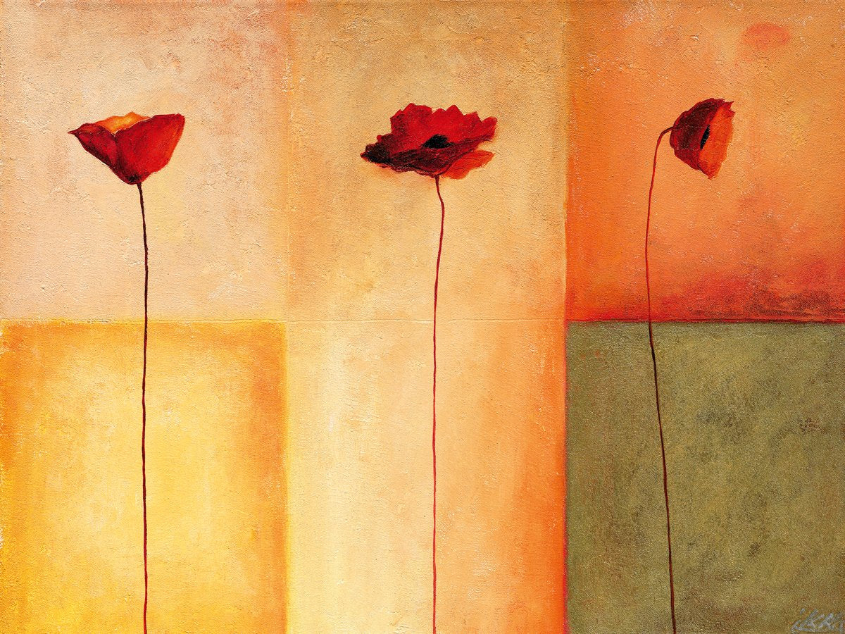 wholesale-dreierlei-mohn-ii-sale_0.jpg