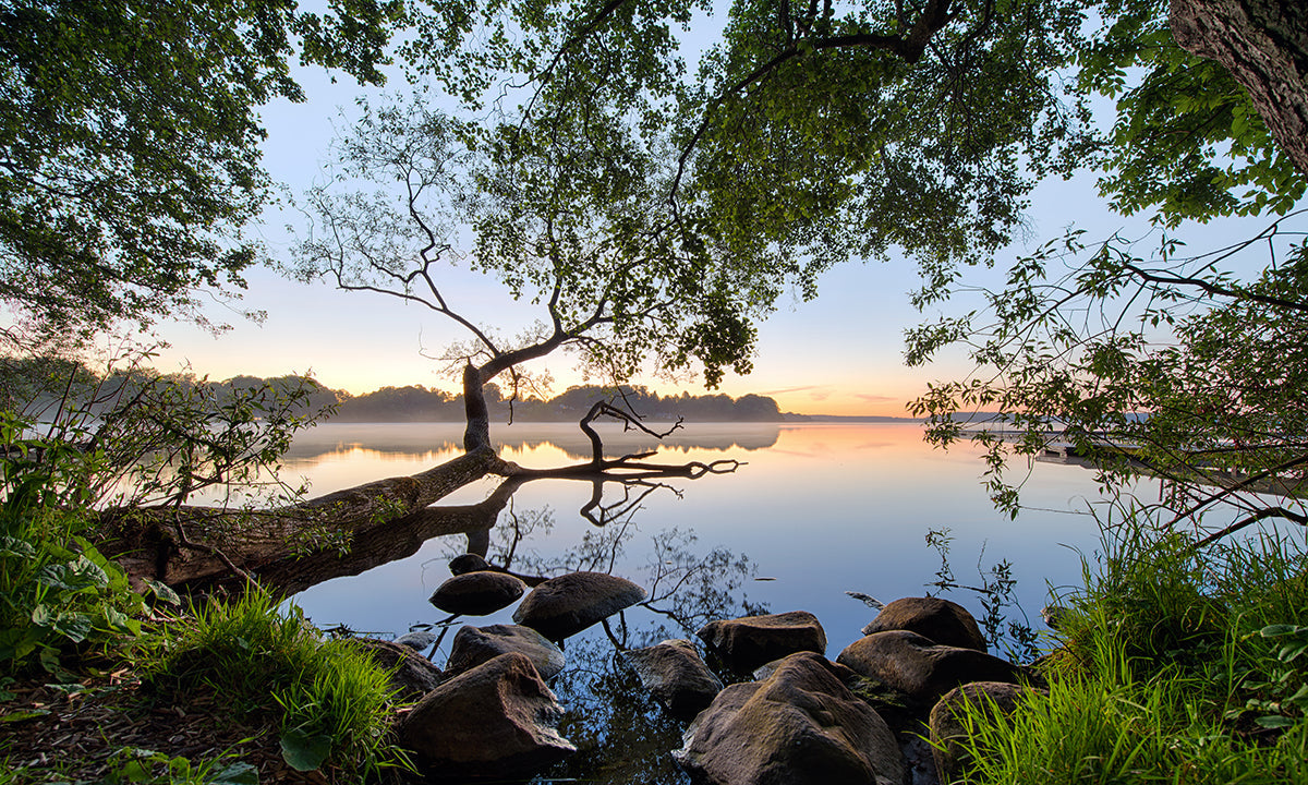 the-largest-online-retailer-of-lake-view-on-sale_0.jpg